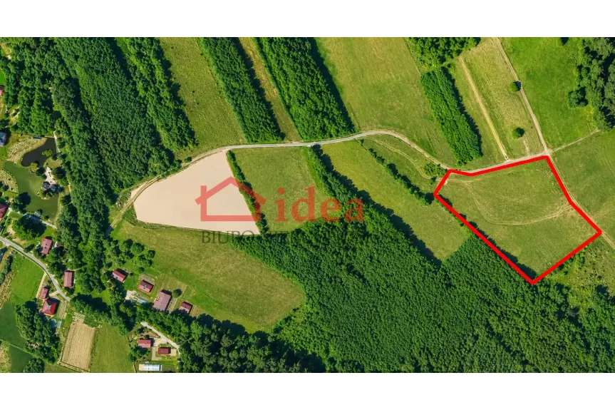 podkarpackie, brzozowski, Dydnia, Krzemienna, Działka na sprzedaż