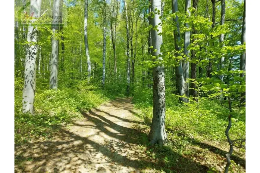 jasielski, Tarnowiec, Glinik Polski, Działka na sprzedaż