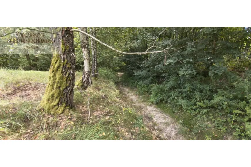 strzyżowski, Czudec, Babica, Działka na sprzedaż