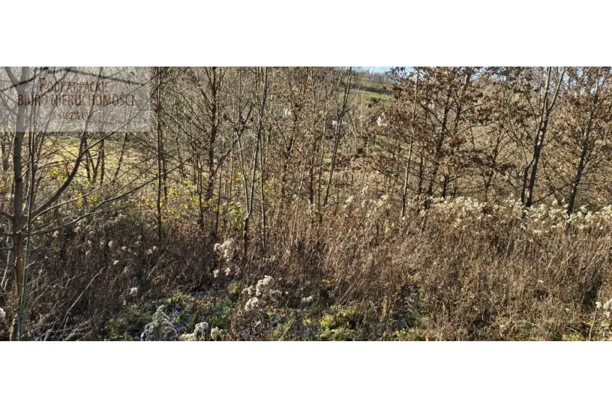 strzyżowski, Strzyżów, Tropie, Działka na sprzedaż