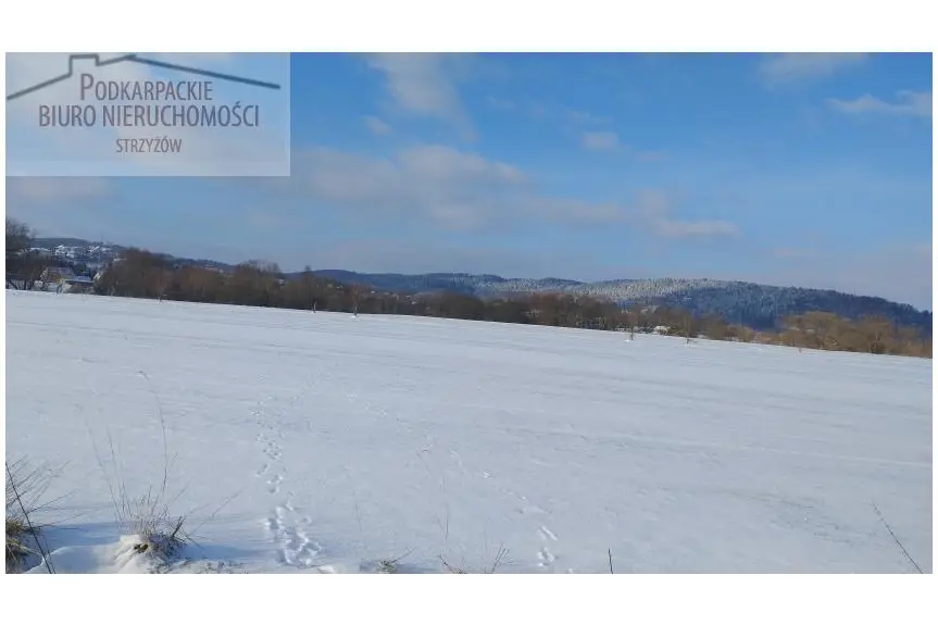 podkarpackie, strzyżowski, Frysztak, Kobyle, Działka na sprzedaż