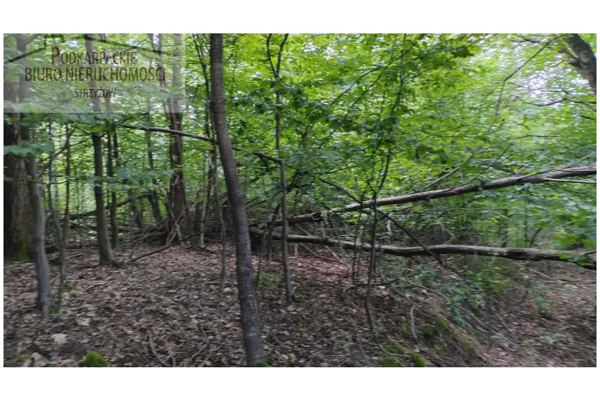 strzyżowski, Strzyżów, Żyznów, Działka na sprzedaż