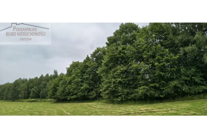 strzyżowski, Strzyżów, Żarnowa, Działka na sprzedaż