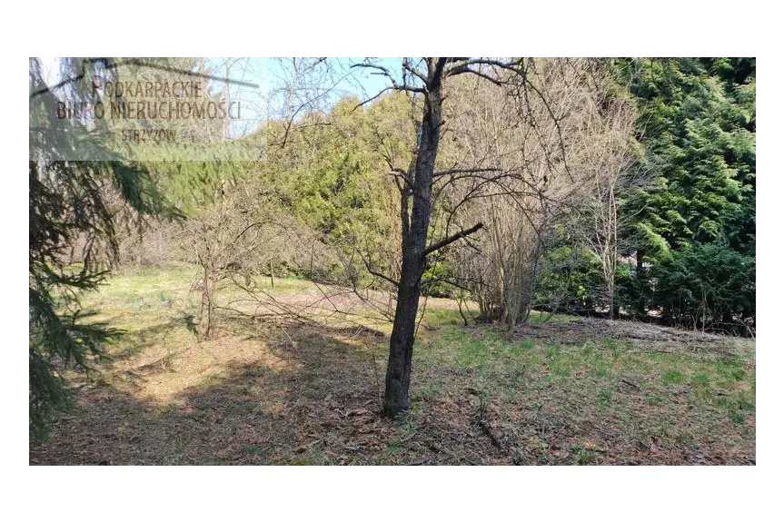 strzyżowski, Strzyżów, Dobrzechów, Dom na sprzedaż