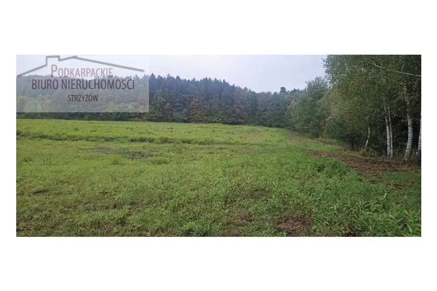 strzyżowski, Frysztak, Gogołów, Działka na sprzedaż