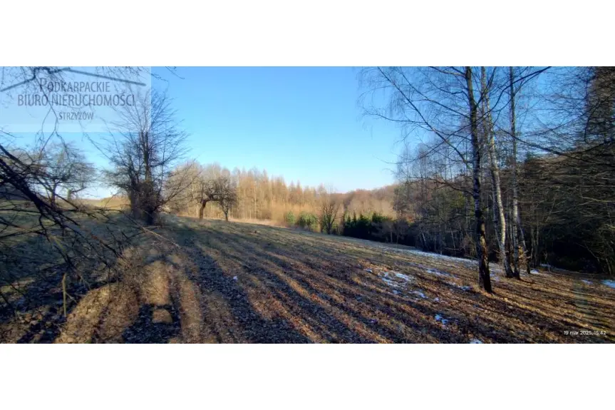 strzyżowski, Wiśniowa, Niewodna, Dom na sprzedaż