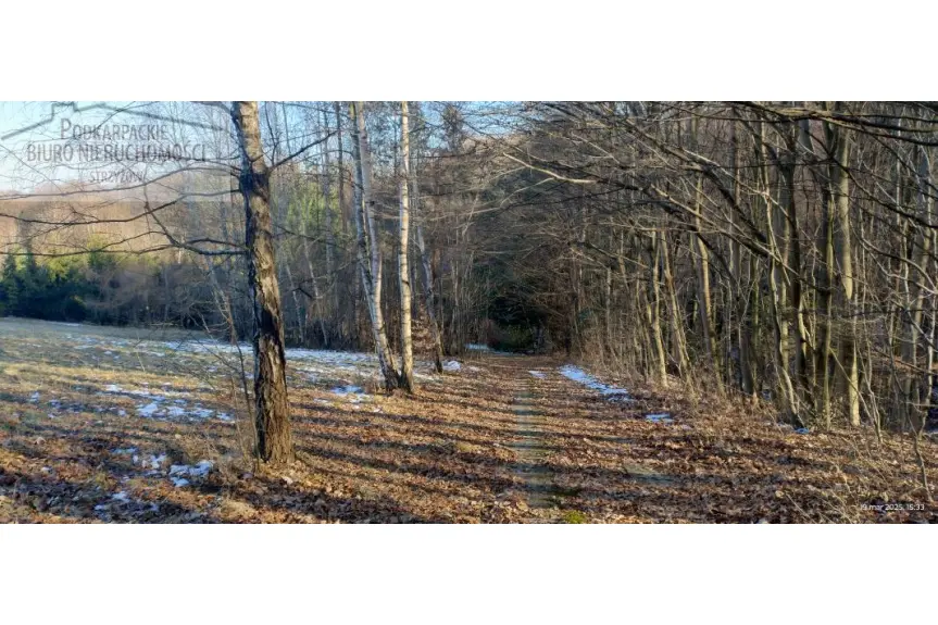 strzyżowski, Wiśniowa, Niewodna, Dom na sprzedaż