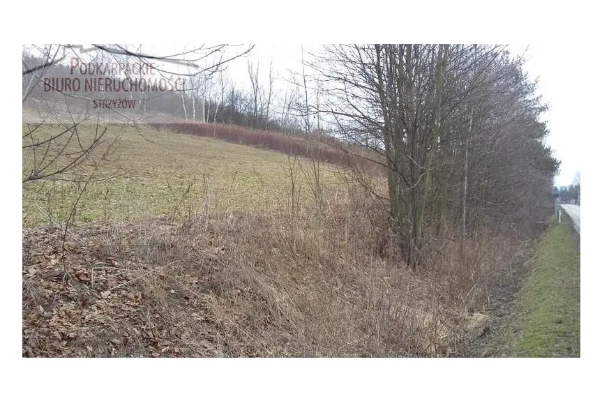 podkarpackie, strzyżowski, Strzyżów, Tropie, Działka na sprzedaż